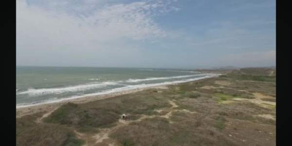 VENDO 91 HECTAREAS CON PLAYA