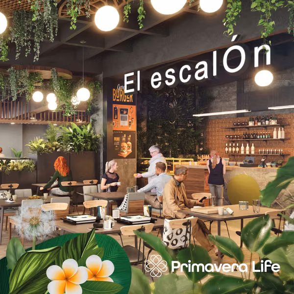 Locales Gastrobar para renta Armenia Quindío