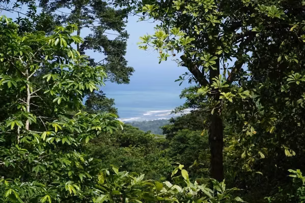 Land for sale - Low-priced investment opportunity