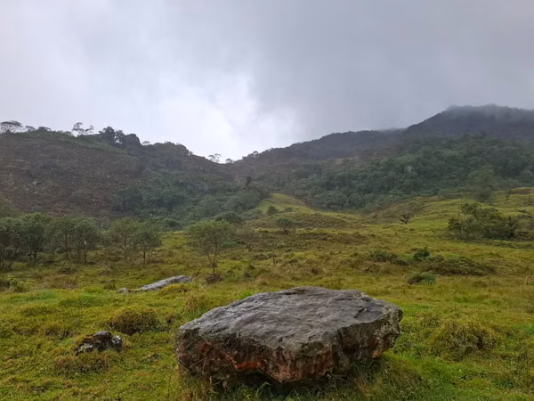 Vendo Finca in Fómeque Cundinamarca