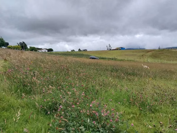VENDO O PERMUTO – Lote en Chocontá, Cundinamarca | Vereda La Mochila