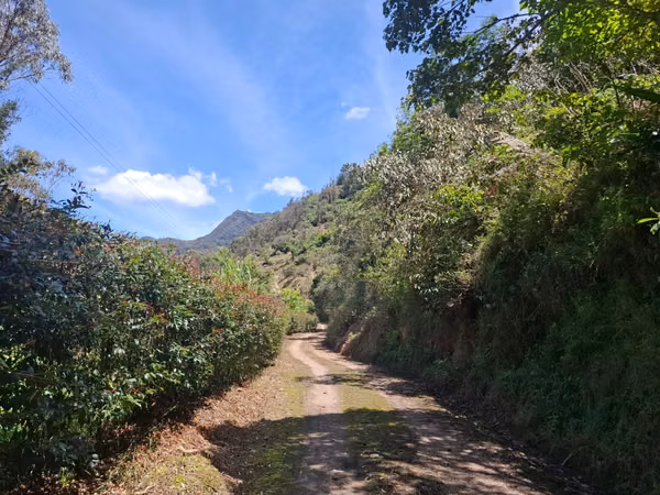 Venta de Terreno / Lote Rural, Choachi, Sector del Refugio
