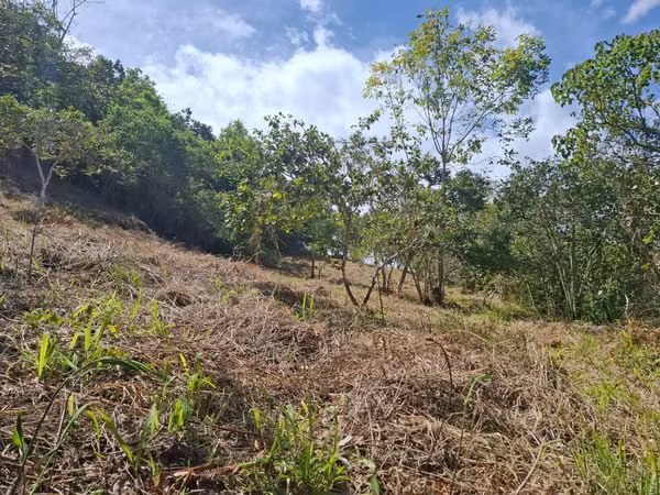 Venta de Terreno / Lote Rural, Choachi, Sector del Refugio