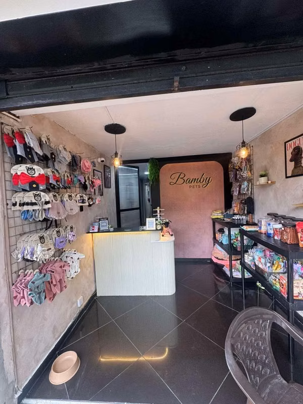 Se vende montaje completo de peluquería canina + Pet Shop | Listo para trabajar desde el primer día