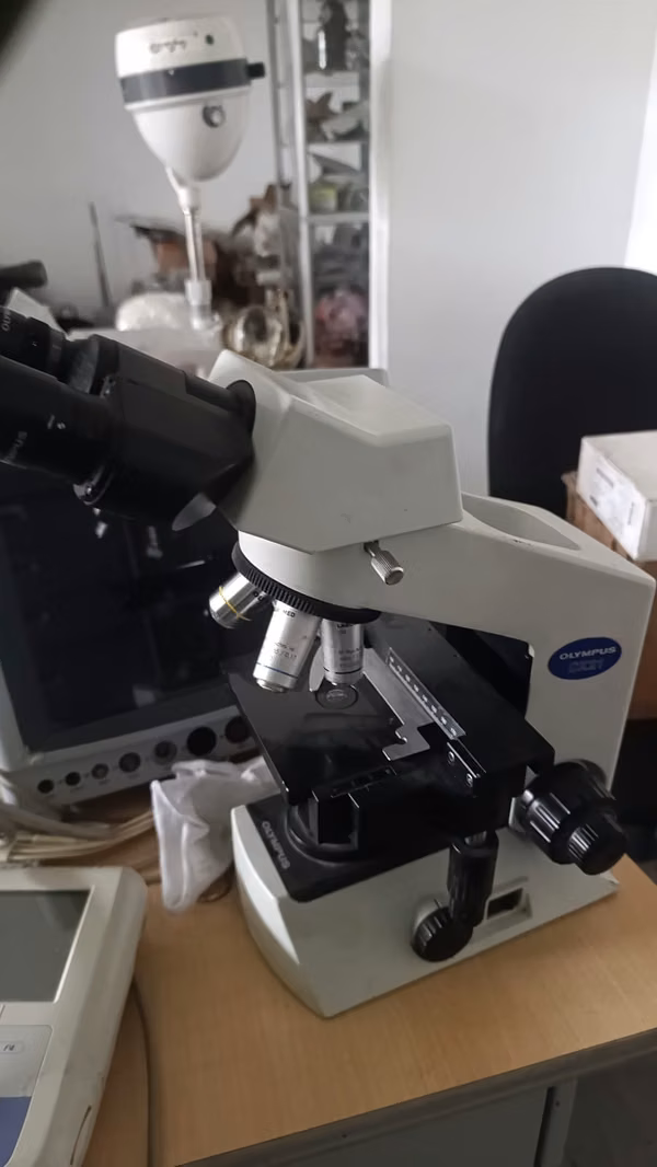 Microscopio Olympus CX21 