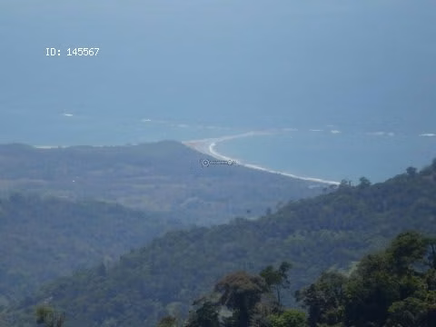 VENTA DE FINCA EN SAN ISIDRO DEL GENERAL EN PEREZ ZELEDON