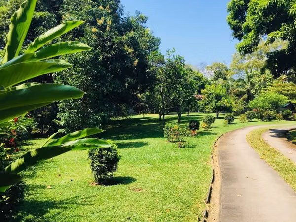 QUINTA EN VENTA -  LA GUACIMA DE ALAJUELA