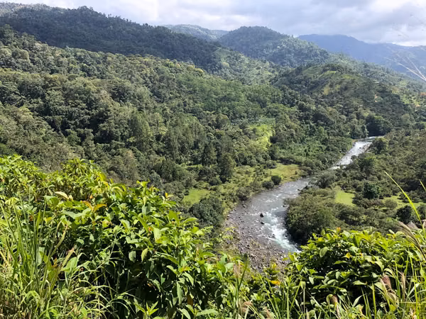 Farm for sale in Turrialba, Paso Marcos