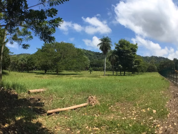 Lote en Zona Industrial- Esparza
