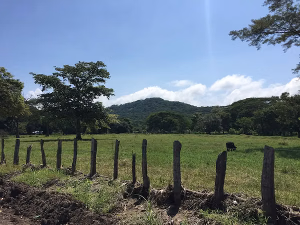 Lote en Zona Industrial- Esparza
