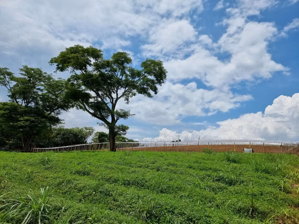 FOR SALE 8,4 HA IN SWEET NAME OF THE ALAJUELA GARITA