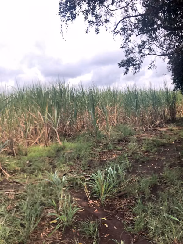 VENTA DE TERRENO SOBRE LA BERNARDO SOTO