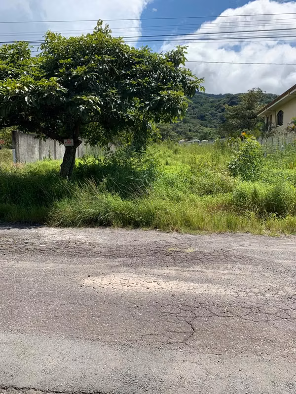 Lot plane, San Jose Sta Ana, 985.93 m2