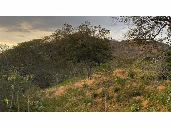 Land of 2,579 m2 just 3 km from Playa Grande, Guanacaste, Costa Rica