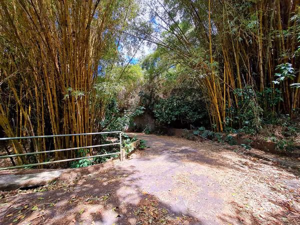 Quinta, vistas espectaculares 7020m2 como un parque.Ganga reducido