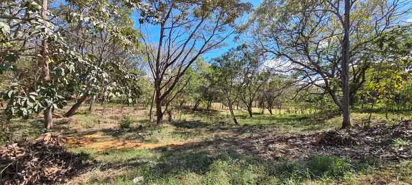 Venta gran terreno 1 ha + 2,996 m2 Cuarros - Tárcoles cerca de Bajamar