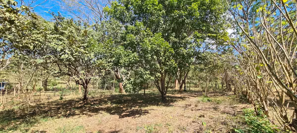 Venta gran terreno 1 ha + 2,996 m2 Cuarros - Tárcoles cerca de Bajamar