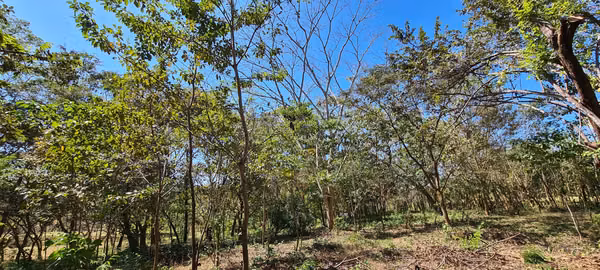 Venta gran terreno 1 ha + 2,996 m2 Cuarros - Tárcoles cerca de Bajamar