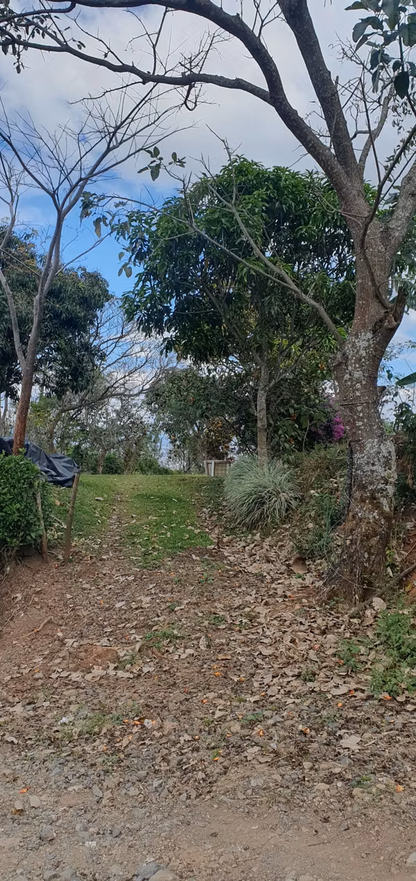 PRECIO GANGA Finca con variedad Frutales y 900 matas Café MG2 en Puriscal