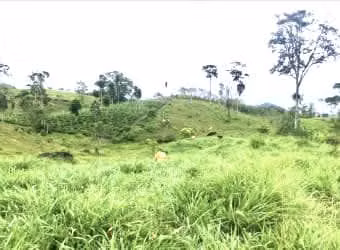 For sale farm Cartago Turrialba $