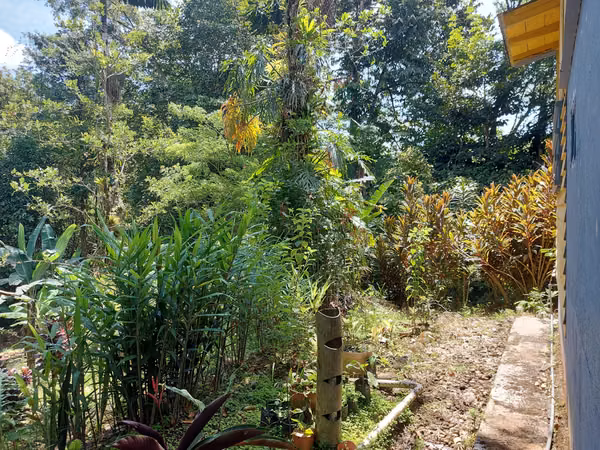 Venta de lote con casa en La Virgen de Sarapiquí