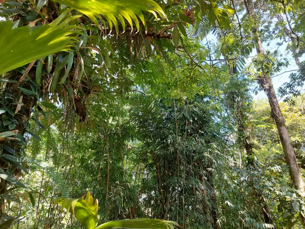 Venta de lote con casa en La Virgen de Sarapiquí