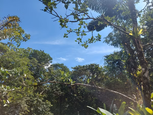 Venta de lote con casa en La Virgen de Sarapiquí