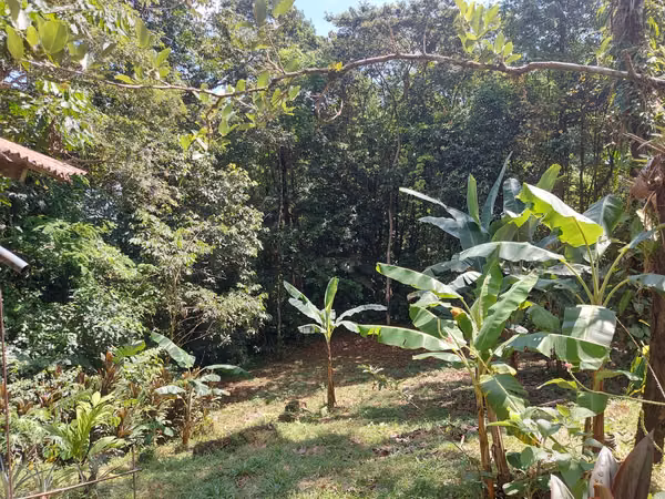 Venta de lote con casa en La Virgen de Sarapiquí