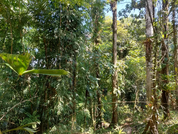 Venta de lote con casa en La Virgen de Sarapiquí