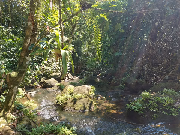 Venta de lote con casa en La Virgen de Sarapiquí