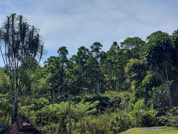 Venta de lote con casa en La Virgen de Sarapiquí