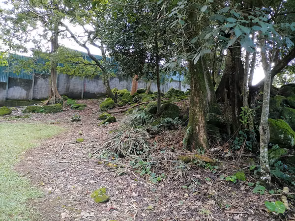 VENTA de Lotes en Ciudad Colón |Condominio Jaragua SP