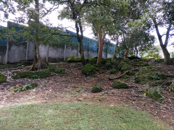 VENTA de Lotes en Ciudad Colón |Condominio Jaragua SP