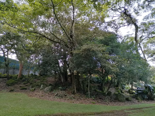 VENTA de Lotes en Ciudad Colón |Condominio Jaragua SP