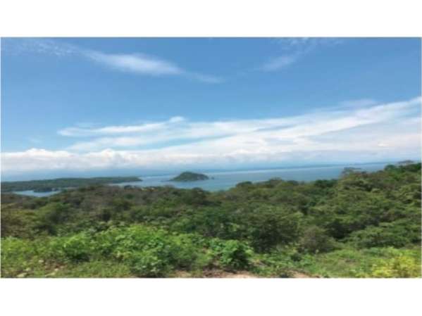 Land for sale with ocean view in Paquera