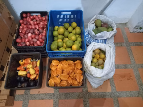 Lote Labrador San Mateo, Alajuela