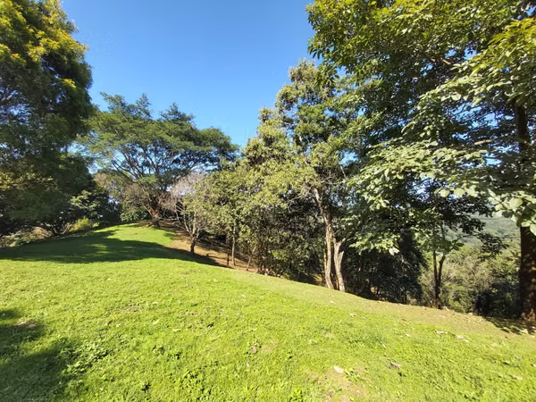 TERRENO EN VENTA EN LA  LIBERTAD DE SAN MATEO ESPECTACULAR VISTA