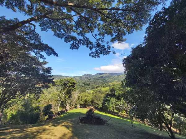 TERRENO EN VENTA EN LA  LIBERTAD DE SAN MATEO ESPECTACULAR VISTA