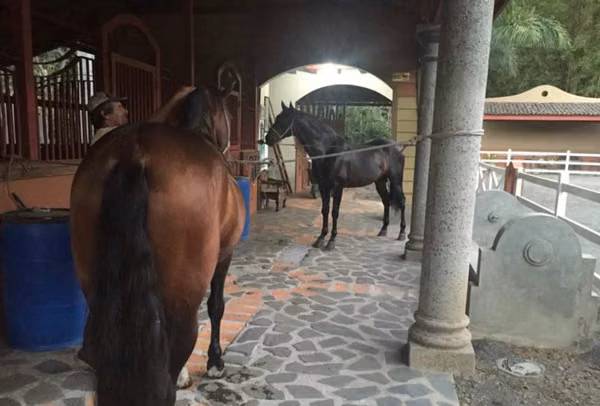 La Garita - Finca Magnífica - Paso Fino - Casa de Lujo