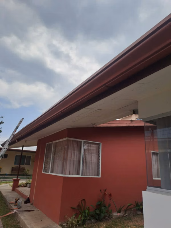 PROFESSIONAL TECHNICIANS IN SHEETING AND CEILINGS