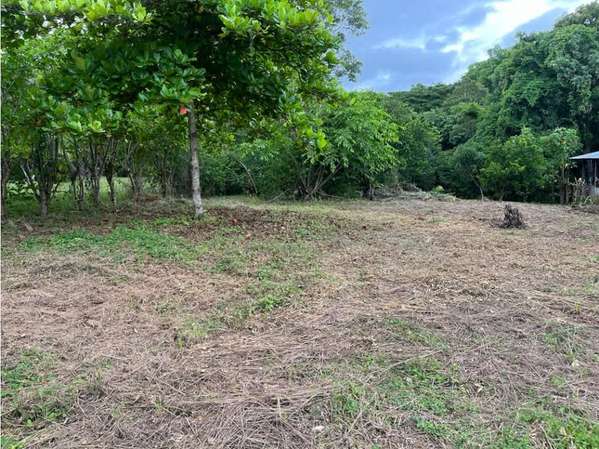 Land for sale