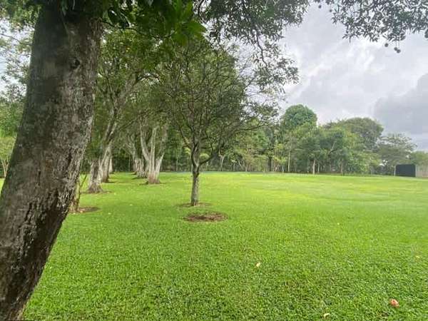 It sells ideal lot for development in the Cacao of Alajuela