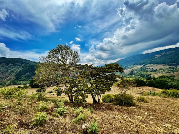 Quintas Exclusivas Copey de Dota - Vistas espectaculares!