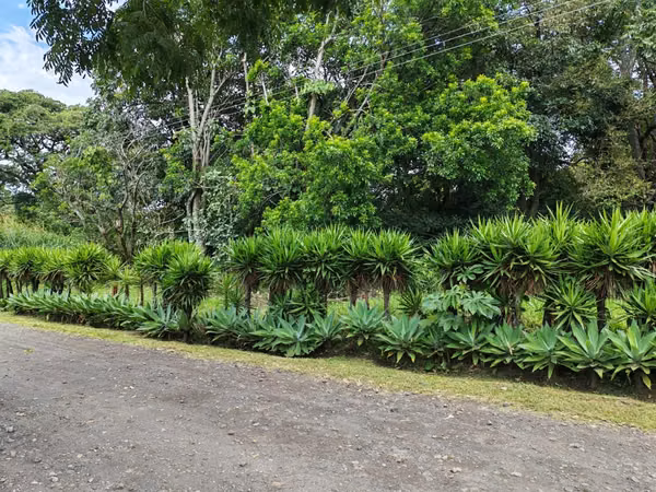 Venta de terreno  en Barreal de  Heredia