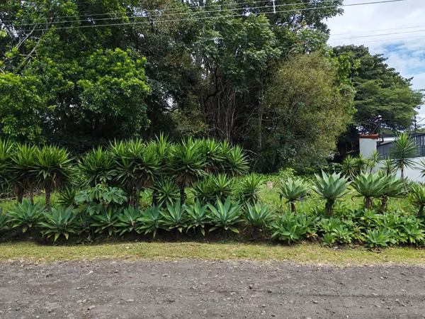 Venta de terreno  en Barreal de  Heredia