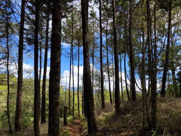 Venta de finca en la Zona de los Santos