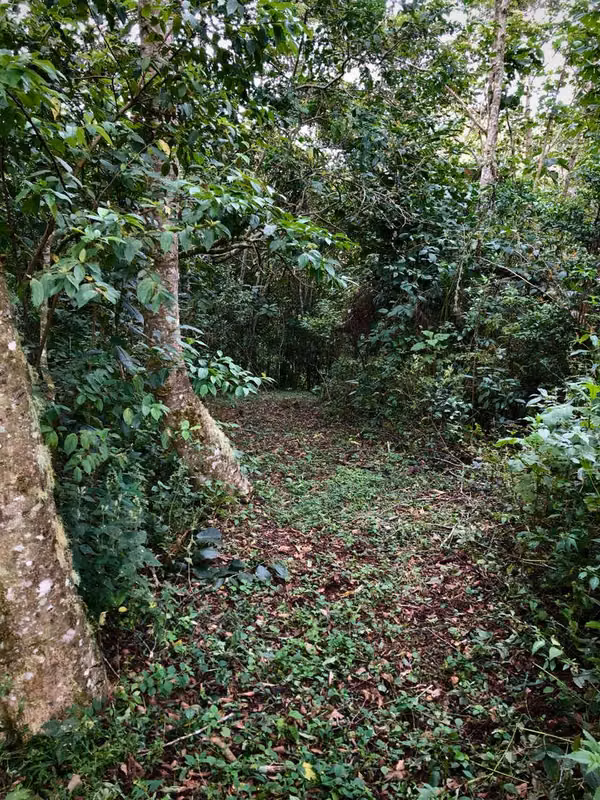 Venta de finca en la Zona de los Santos
