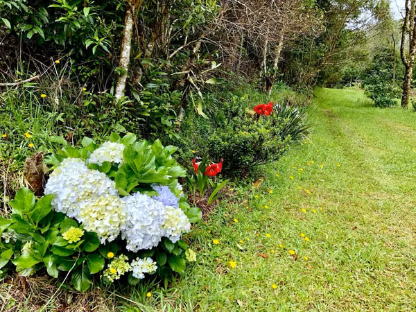 Venta de finca en la Zona de los Santos