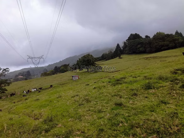 Finca en El Roble/Santa Barbara 18.7 hectareas