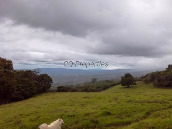 Finca en El Roble/Santa Barbara 18.7 hectareas